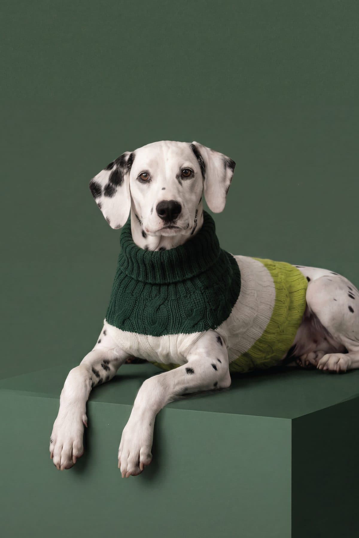 Cool Sweater