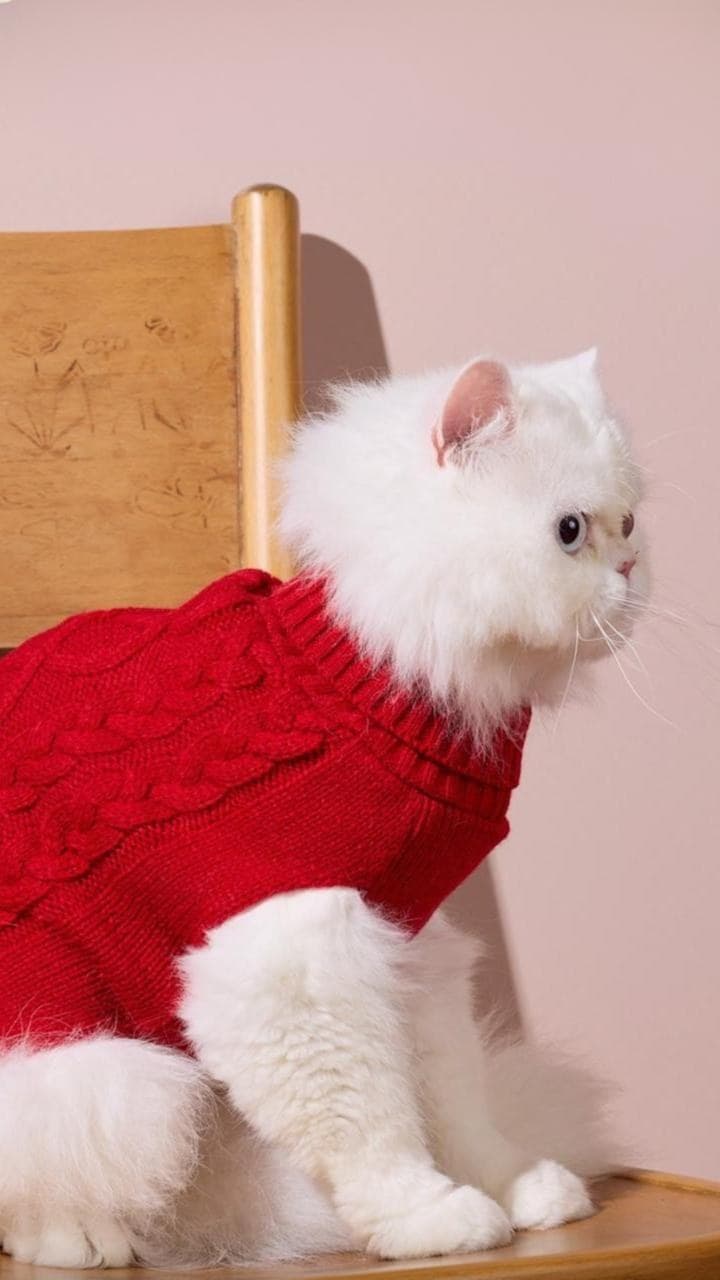 Rubí Sweater